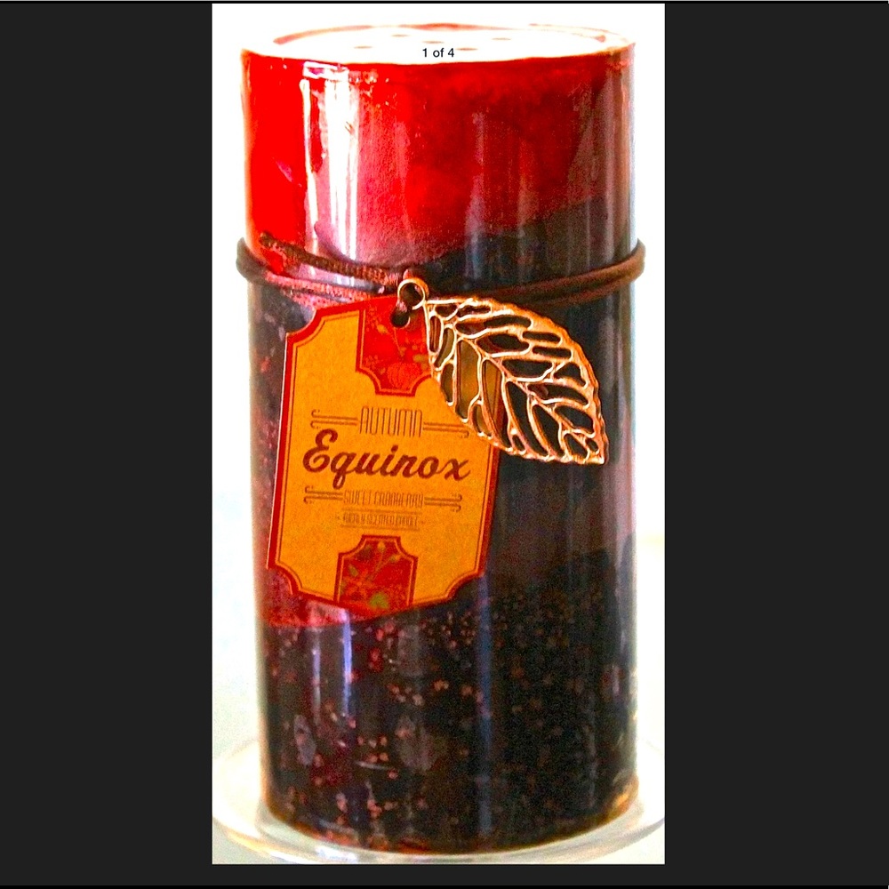 DW HOME AUTUMN SWEET CRANBERRY PILLAR CANDLE RICH